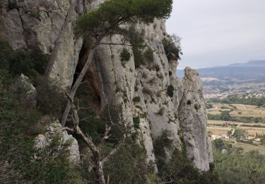 Excursión Senderismo Sanary-sur-Mer - Gros cerveau  - Photo