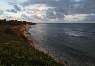 Trail Walking Sainte-Anne - Pointe du Helleux - Bois Jolan - Photo