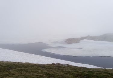 Trail Walking La Combe-de-Lancey - Grand domenon - Photo