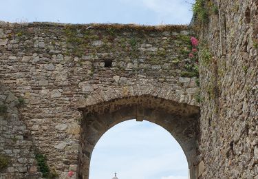 Randonnée Marche Regnéville-sur-Mer - Regnéville 50 - Photo