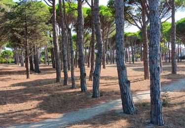 Trail Walking Saint-Cyprien - st cyprien de merde - Photo