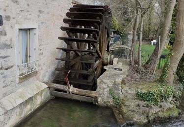 Percorso Marcia Étampes - marais de  vojuan - Photo