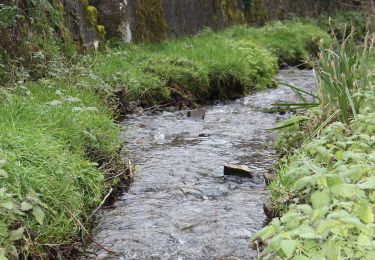 Randonnée A pied Oberfell - Bleidenberger Ausblicke - Photo