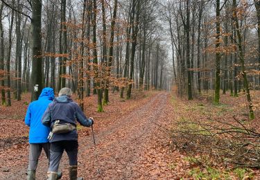 Tour Wandern Libin - Ochamps, la Lesse 1 - Photo