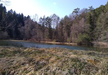 Trail Walking Hadol - hadol mp godillots balladeurs - Photo