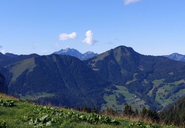 Trail Walking Abondance - plan du Autigny 1 09 2021 - Photo