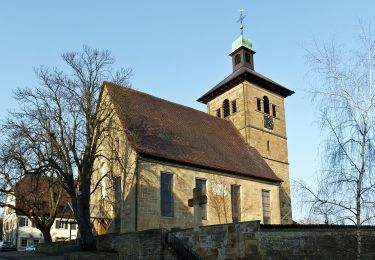 Trail On foot Eberstadt - WT10 Brunnen und Quellen in Eberstadt - Photo