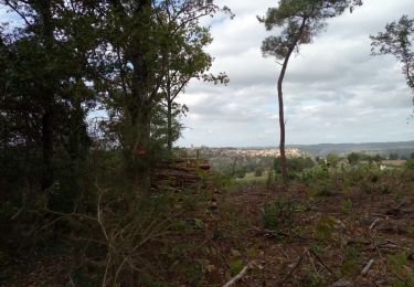 Randonnée Marche Saint-Pardoux-et-Vielvic - Belvès 16km - Photo