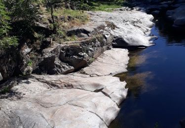 Trail Walking Saint-Romain-d'Ay - Saint-Romain-d'Ay petite boucle - Photo