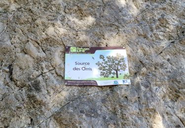 Trail Walking La Roquebrussanne - ROQUEBRUSANNE - Photo