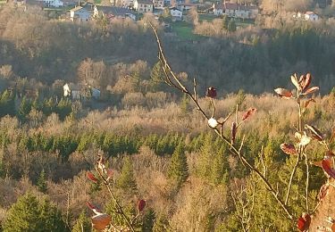 Randonnée Marche Ravilloles - ravilloles Vichaumois  - Photo