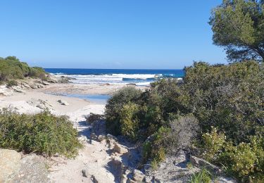 Trail Hybrid bike Saint-Florent - piste plage depuis St Flo - Photo