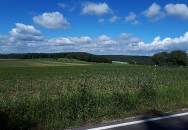 Trail Walking Diekirch - DIEKIRCH  _ Marche Militaire Luxembourgeoise _ Jour 2 - Photo