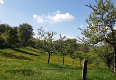 Tour Wandern Gugney-aux-Aulx - Gugney aux Aulx circuit des mirabelliers - Photo