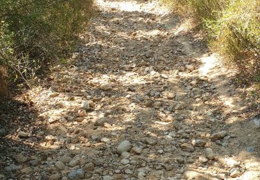 Trail Walking Le Boulou - Bataille du Boulou (1793 - 1794) - Photo