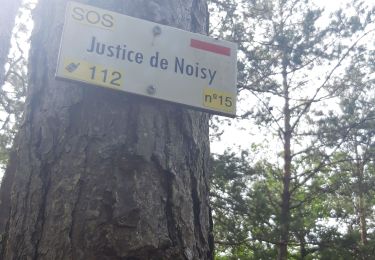 Trail Walking Noisy-sur-École - Forêt 3 pignons Fontainebleau 20 bosses  - Photo