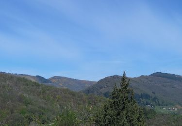 Trail Walking Saint-André-de-Valborgne - Col du Salidès  - Photo