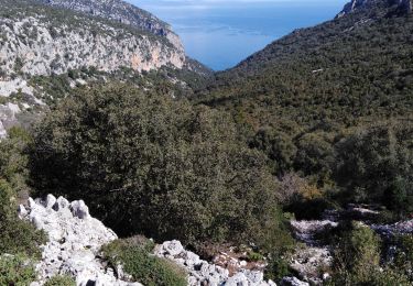 Excursión Senderismo Baunei - su porteddu punta salinas - Photo