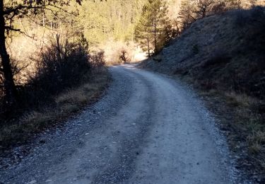 Tocht Stappen Saillans - Le Serre des 3 Bornes - Photo