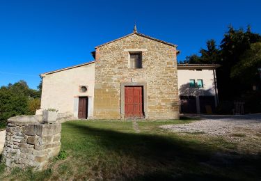 Trail On foot Panicale - Missiano - Monte Petrarvella - Panicale - Photo