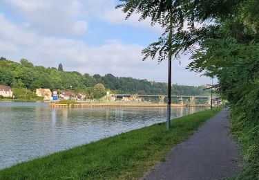 Excursión Senderismo Morsang-sur-Seine - Boucle autour de Morsang / Seine par Brigitte - Photo