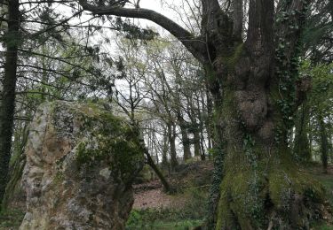 Trail Walking Retiers - Retiers éoliennes et menhir de Richebourg - Photo
