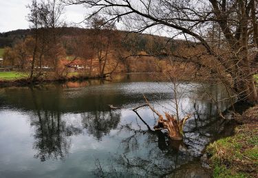 Tocht Te voet Gräfendorf - Schwarzer Keiler Gräfendorf - Photo