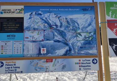 Randonnée Marche Beaufort - retour par le télécabine Bois - Photo