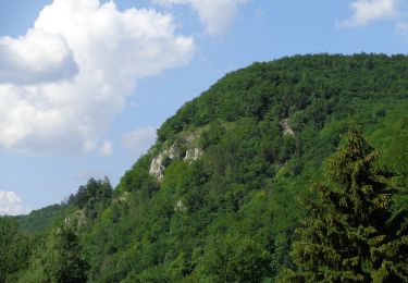 Percorso A piedi Gomadingen - Hohenwittlingensteig - Photo