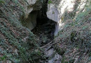 Tour Wandern La Grande-Béroche - Vaumarcus - Provence - Mutrux - Vaumarcus 21.09.2019 - Photo