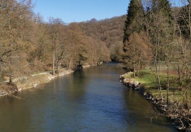 Randonnée Marche Durbuy - Verlaine sur Ourthe balade des crêtes  - Photo