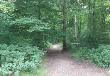 Tour Wandern Houppeville - 20240806 La Breteque Houppeville - Photo