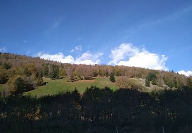 Tour Wandern Kirchberg - Sommerseitkids - Photo