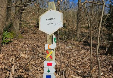 Excursión Senderismo Chaudfontaine - Tour de Chaudfontaine - Étape 1 - Photo