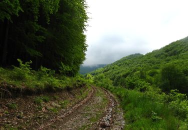 Percorso A piedi Bernecebaráti - S+ (Bernecebaráti) - Photo