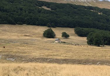 Trail Walking Bouvante - Tour du Plateau d’Ambel - Photo