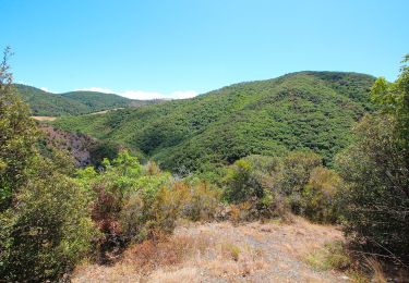 Tour Zu Fuß Volterra - Monte Nero e la gola del torrente Strolla - Photo