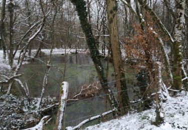 Trail Walking Maraye-en-Othe - Les Boulins - Photo