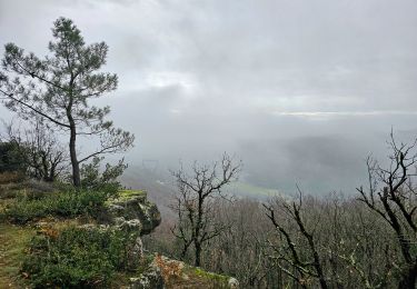 Tocht Stappen Saint-Georges-les-Bains - Saint Georges les Bains - Photo