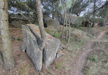 Tour Wandern Laure-Minervois - Oui mon Capitelle ! 4 niveaux possibles - Photo