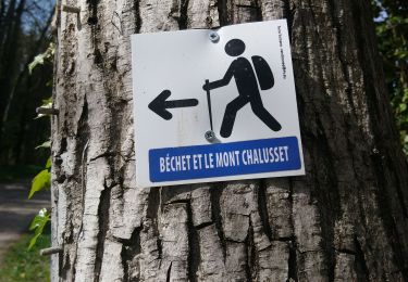 Tocht Stappen Châtel-Guyon - Béchet et le mont Chalusset - Photo