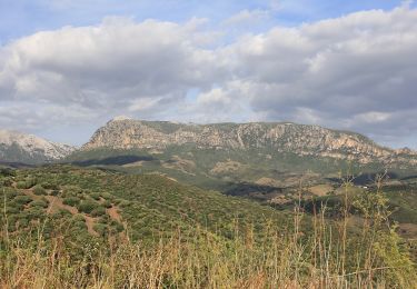 Tour Zu Fuß Lodè - Corru 'e mandra - Badde Viola - Sa 'e Tamponi - Photo