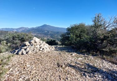 Tocht Stappen La Roque-Alric - Les 4 sommets de la Roque Alric - Photo