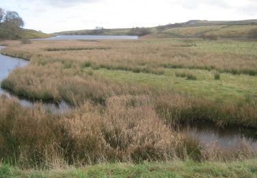 Tocht Te voet  - Pennine Way (Tan Hill to Yetholm) - deviation near Baldersdale - Photo