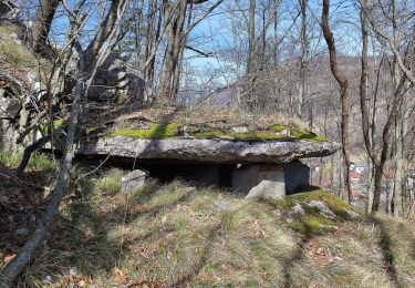 Tour Zu Fuß Wippach - 144 ~ Pot kurirjev in vezistov NOV Slovenije - Photo