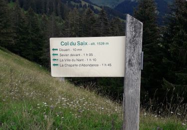 Excursión Senderismo Châtel - Petit Chatel - Photo