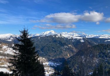 Percorso Racchette da neve La Giettaz - Les crêtes du col d’aravis  - Photo