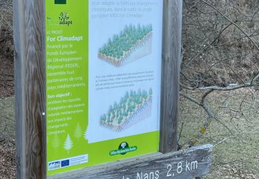 Trail Walking Saint-Vallier-de-Thiey - Pont de Nans : la montagne de Thiey - Photo