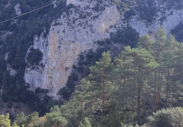 Tour Wandern Axat - Sénayeurs à Axat et bois de la fage - Photo