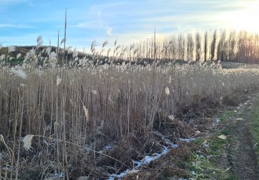 Trail Walking Villequier-Aumont - villequier aumont - Photo